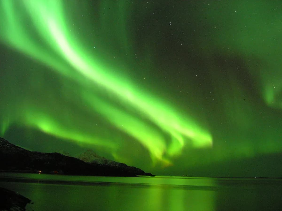 17 Best Northern Lights Tours in Tromso (2026 Guide)