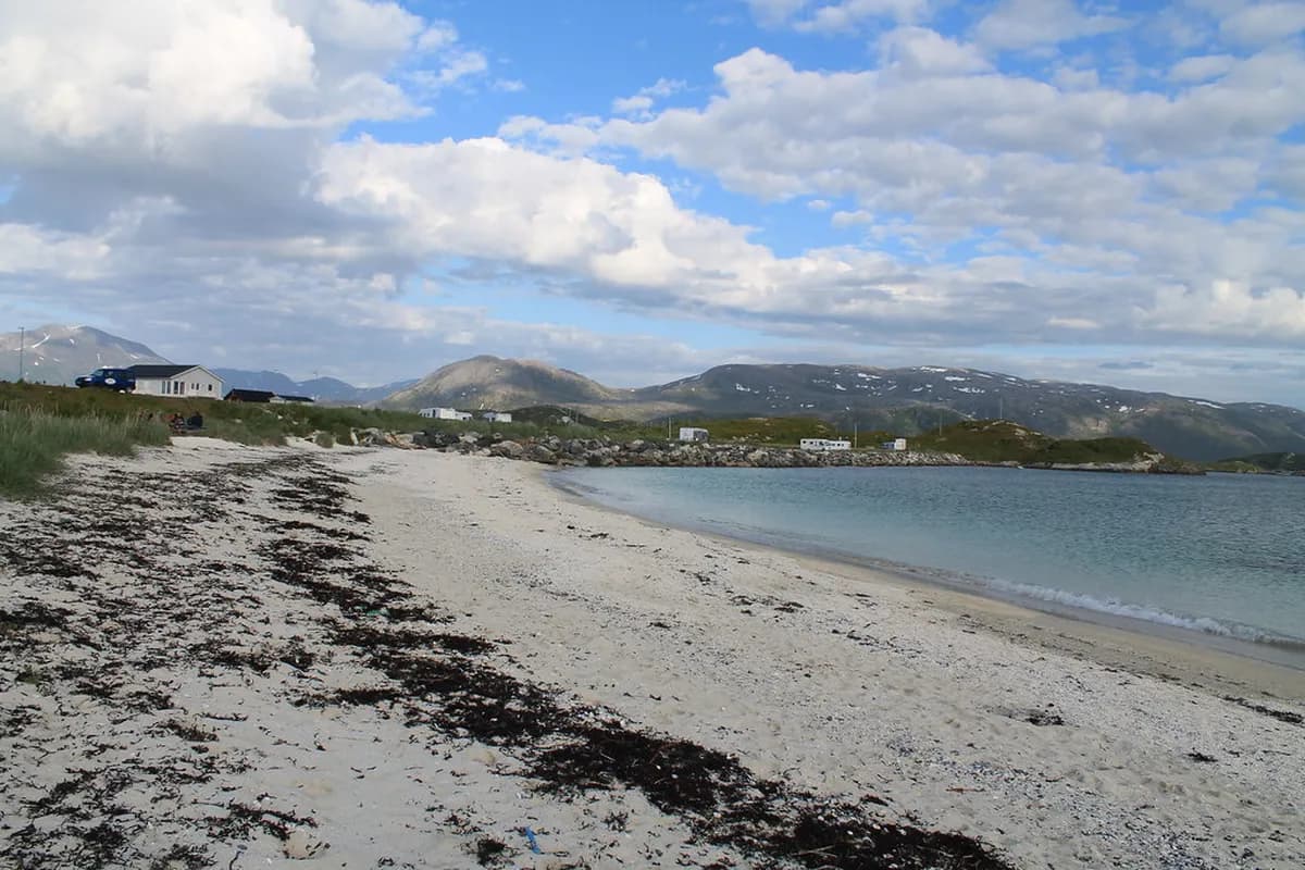 Sommaroy Day Trip From Tromso: A Perfect 1-Day Itinerary