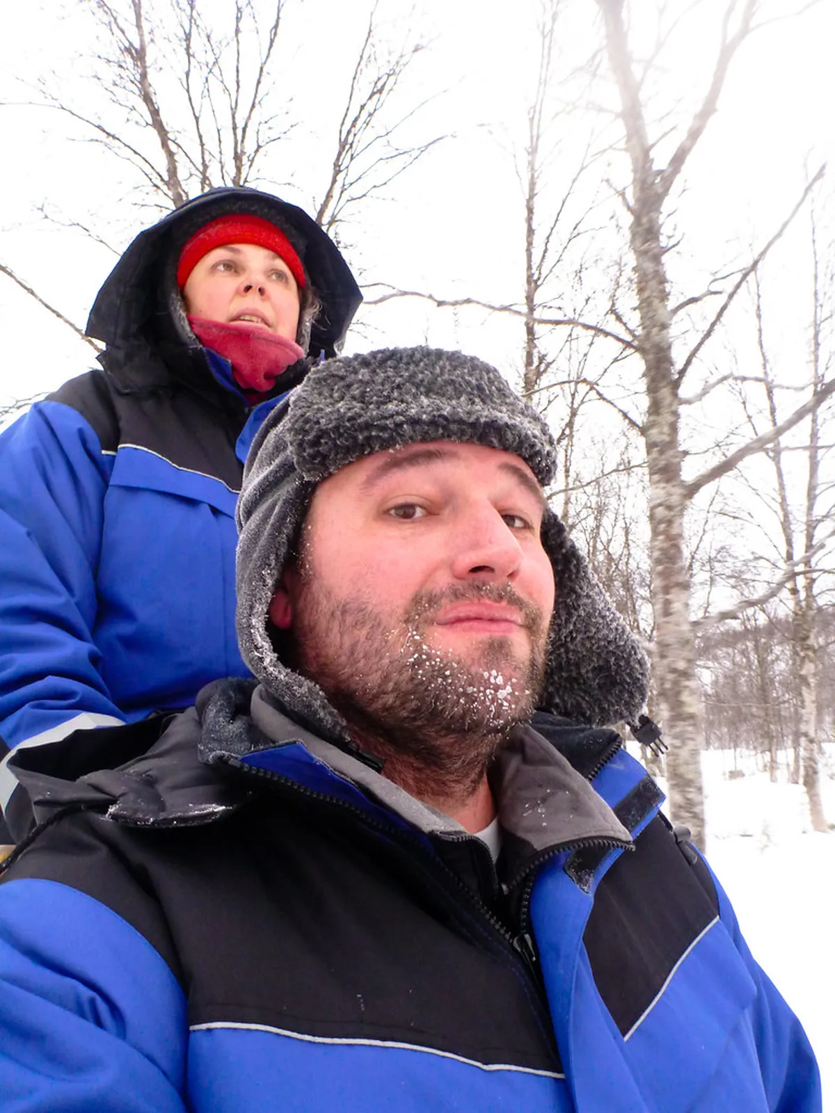 12 Best Things To Do In Tromso With Kids Travel Guide (2026)