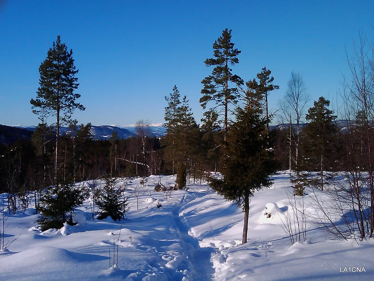 Winter hiking trail in Tromsø's Arctic landscape with snow-covered terrain and distant fjord views