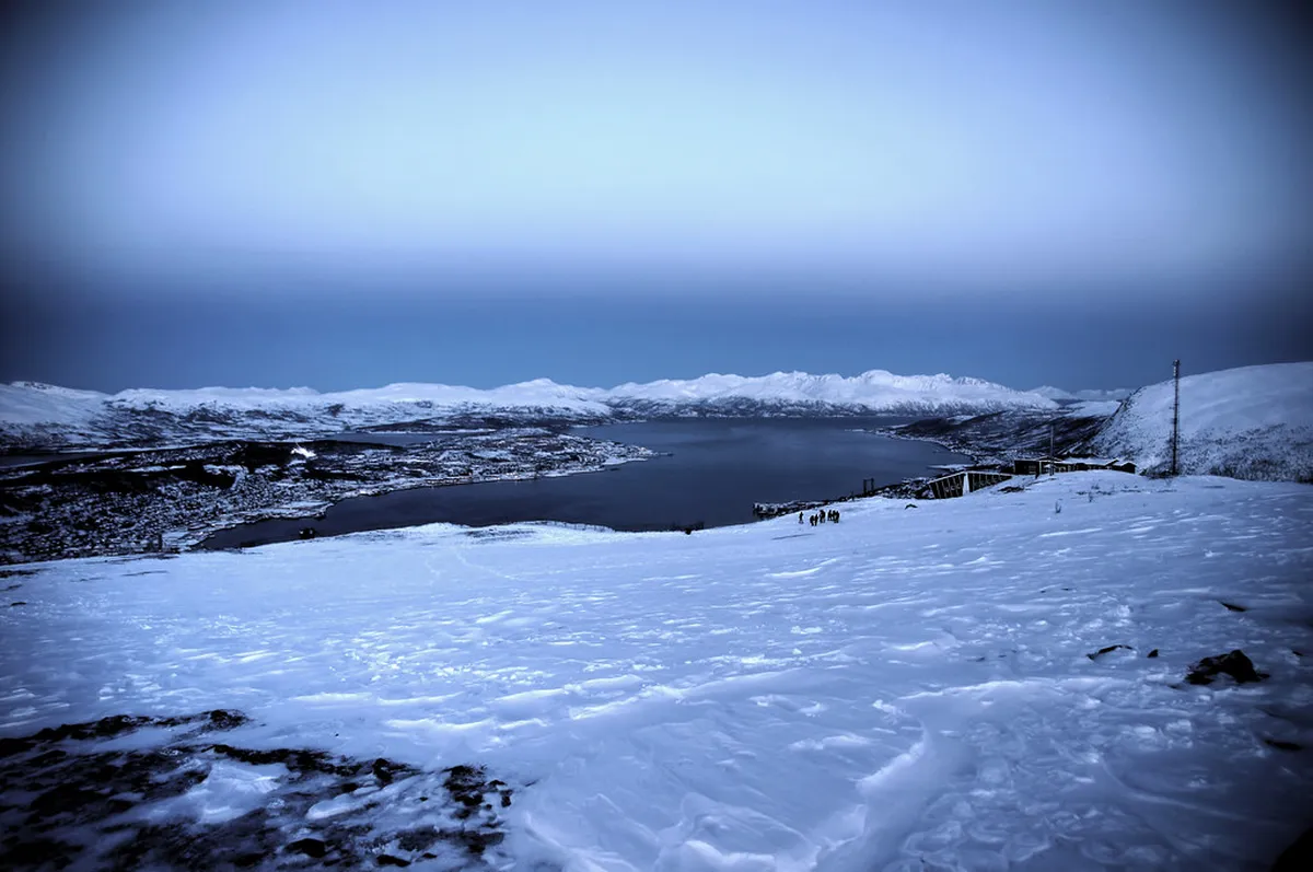 Deep snow covering Arctic landscape with silhouetted pine trees and distant mountains under starry winter sky in Tromsø