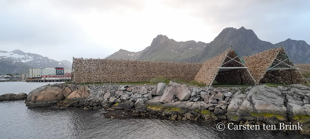 Traditional wooden hjell racks hung with drying stockfish along the Tromsø shoreline in Arctic Norway