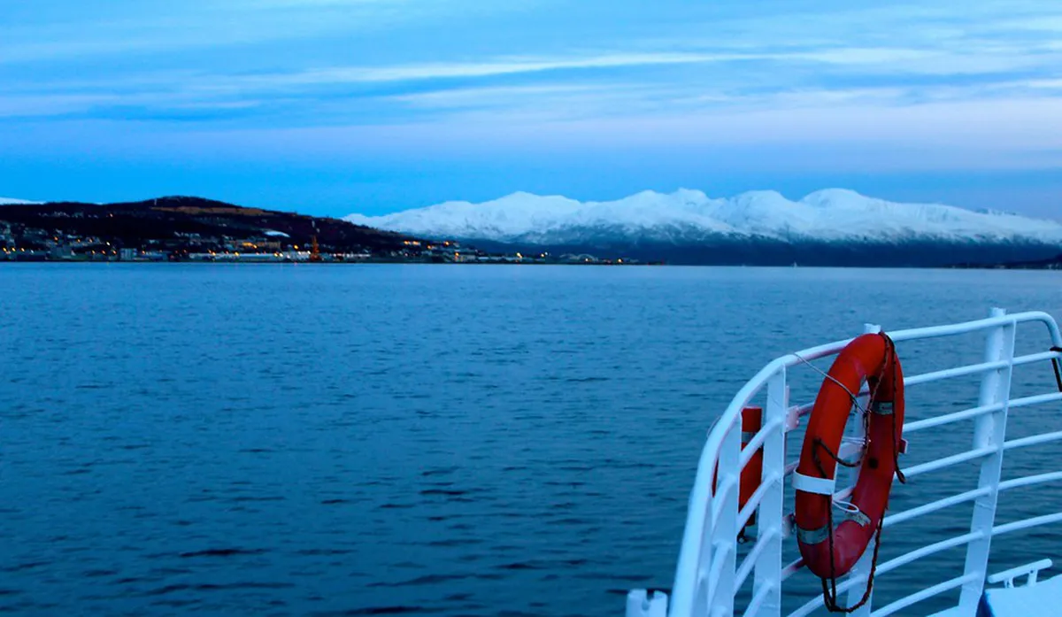 Humpback whale breaching in the Tromsø fjords during winter whale-watching safari